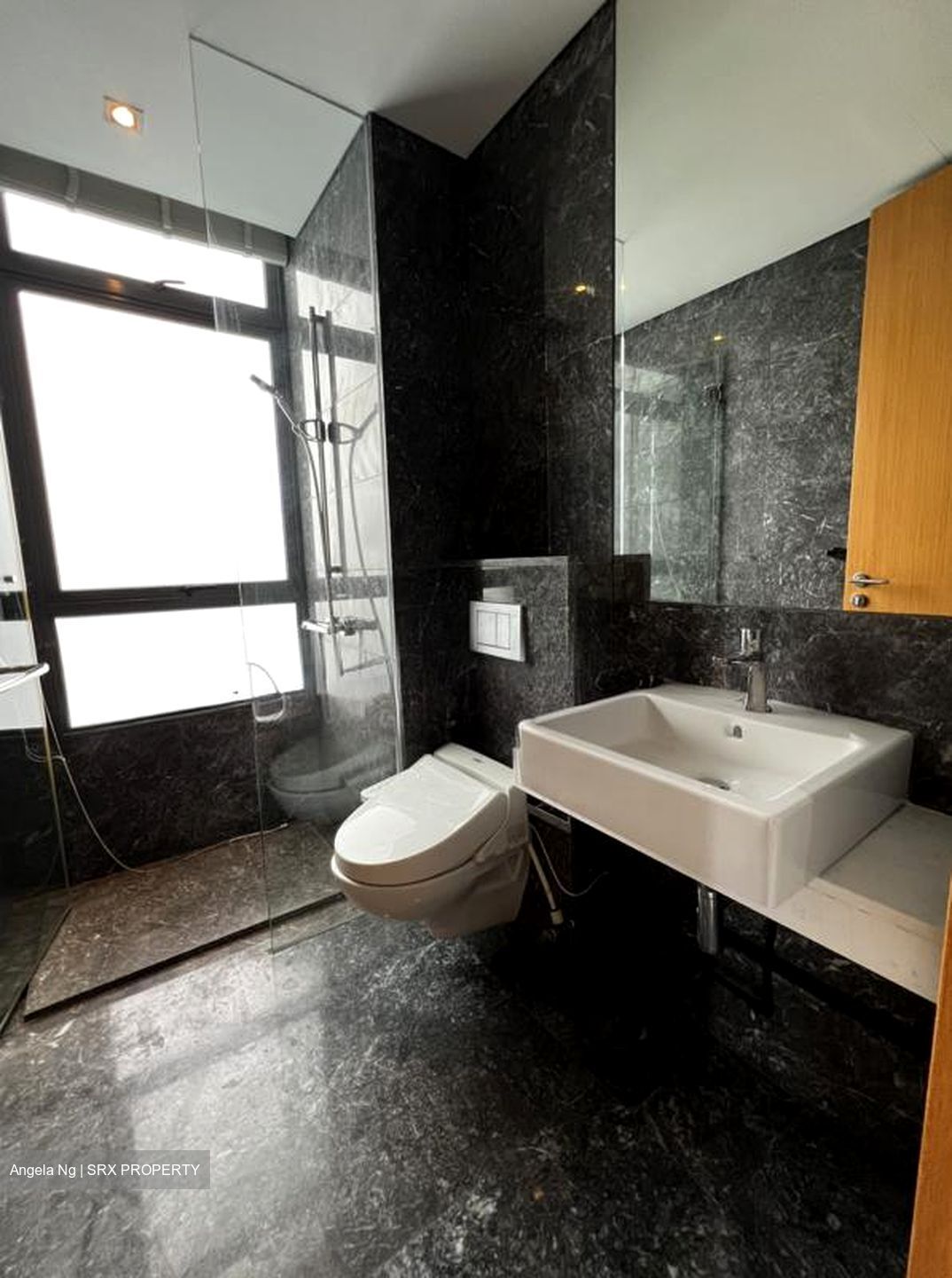 Saint Thomas Walk (D9), Apartment #537556851